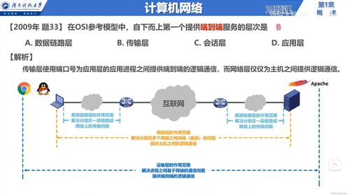 計算機網絡與信息服務基礎概述