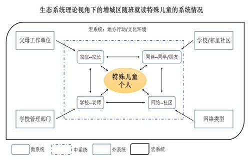 社會工作在特殊兒童隨班就讀服務系統的實踐探索與信息系統運行維護服務
