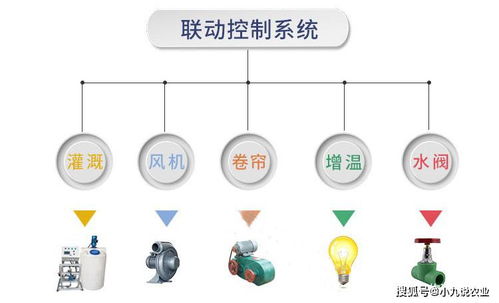 福建溫室大棚遠程測控與智能管理系統