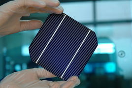 光伏寒冬下的逆勢(shì)生長 晶龍集團(tuán)何以一枝獨(dú)秀，實(shí)現(xiàn)光源設(shè)備滿負(fù)荷生產(chǎn)？